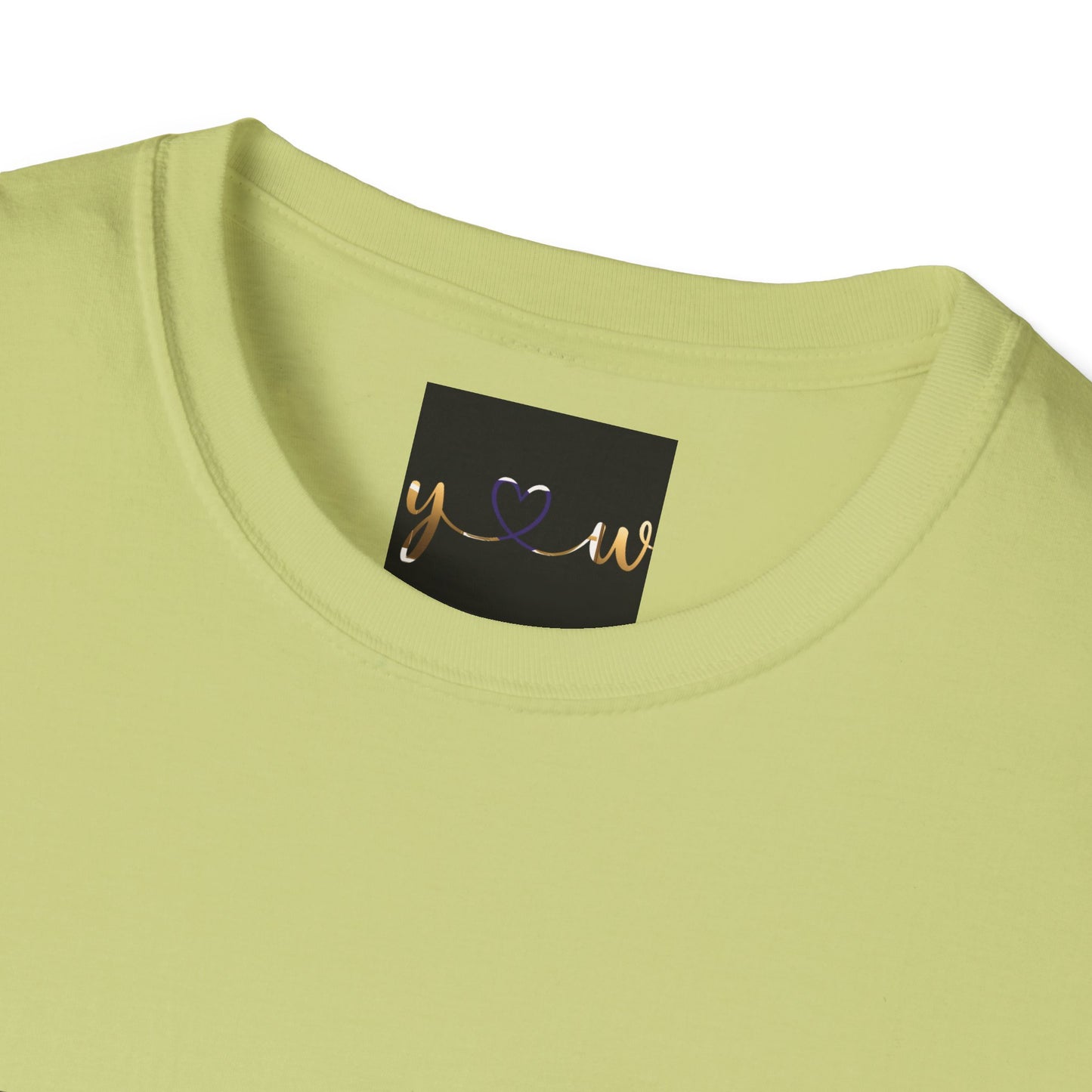"All Hail The King" Unisex Softstyle T-Shirt