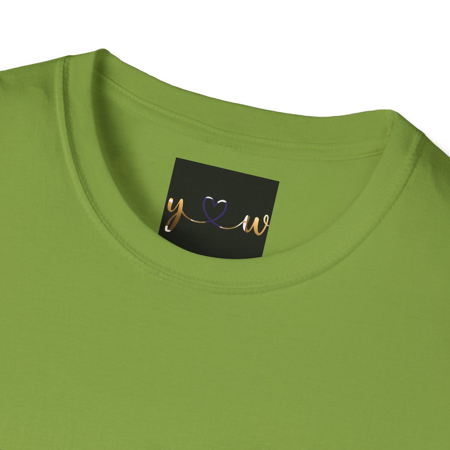 "All Hail The King" Unisex Softstyle T-Shirt